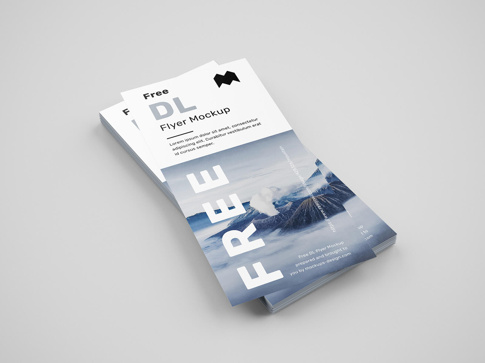 Free DL Flyer Mockup PSD Set (6 Renders)