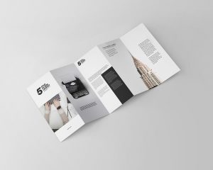 Free Five Fold DL Leaflet Mockup