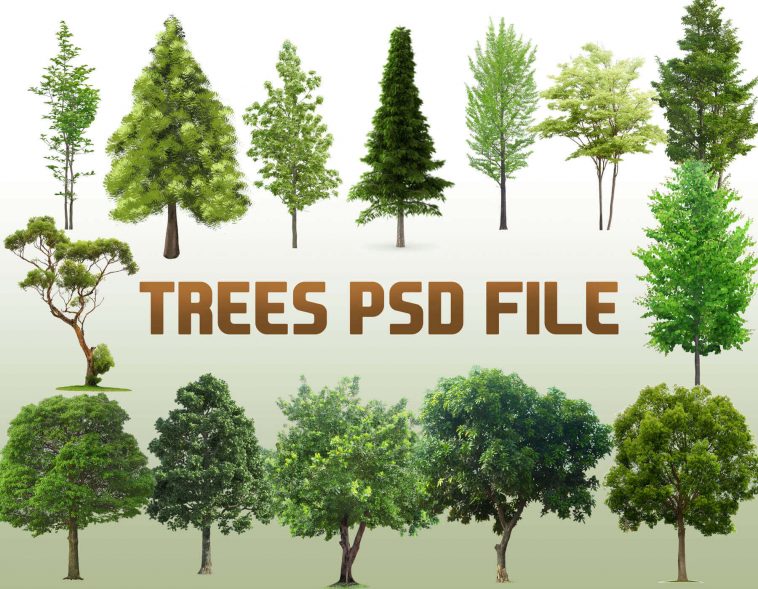 14 Trees Layered PSD file free download