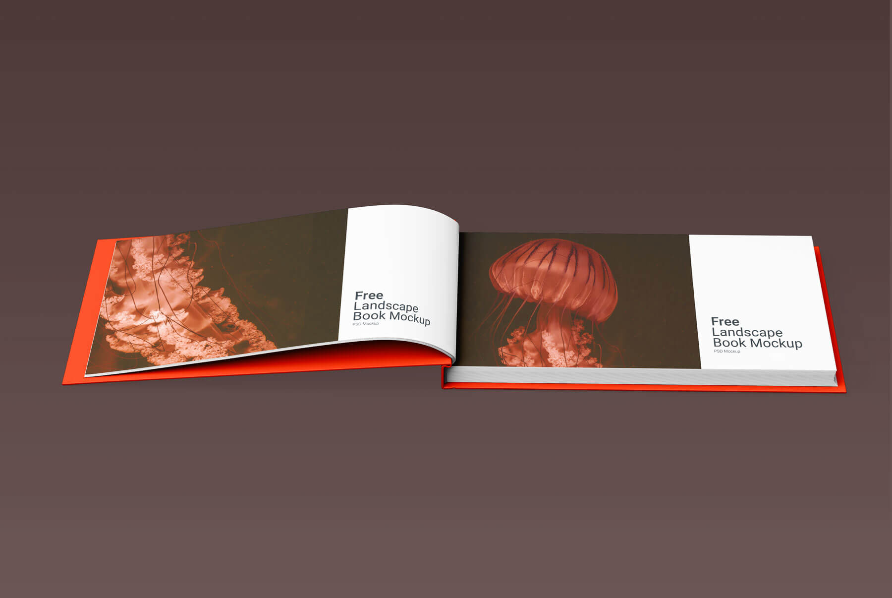 Open Landscape Book Mockups Free PSD Set