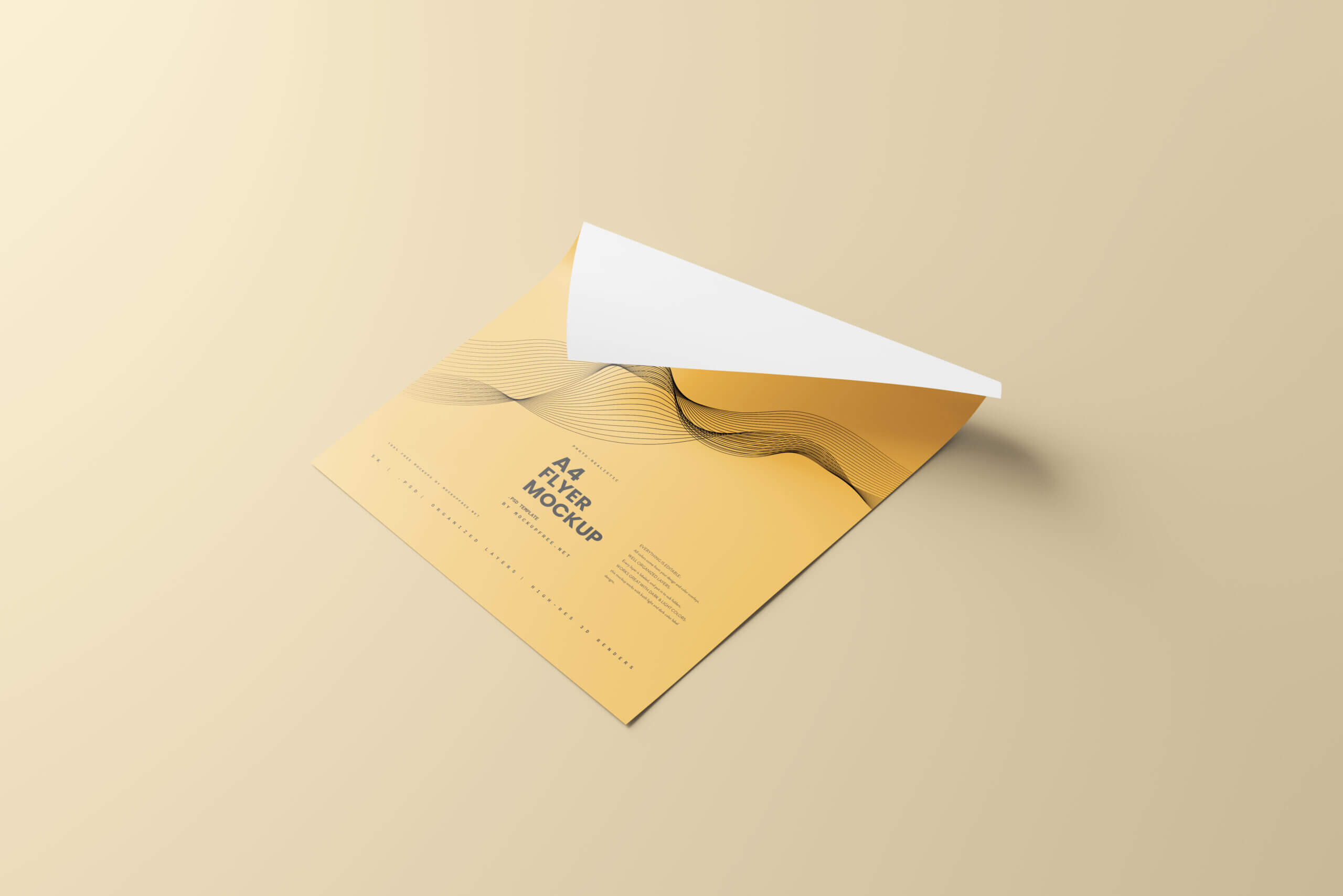 A flyer in a rotated view with plain background