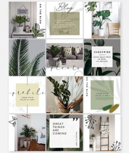 Free Plants Instagram Bundle Templates