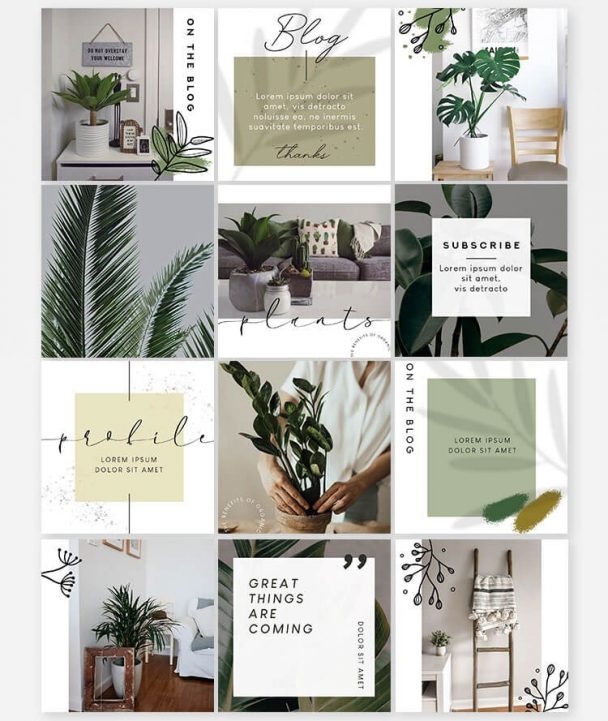 Free Plants Instagram Bundle PSD Templates