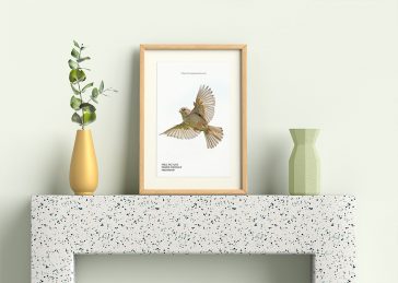 Free Picture Frame Mockup