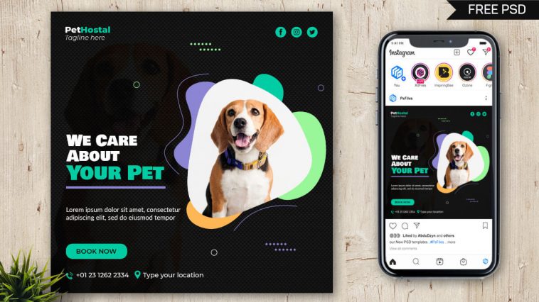 Psfiles_Free Pets Care Social Media Post Design Template PSD 10