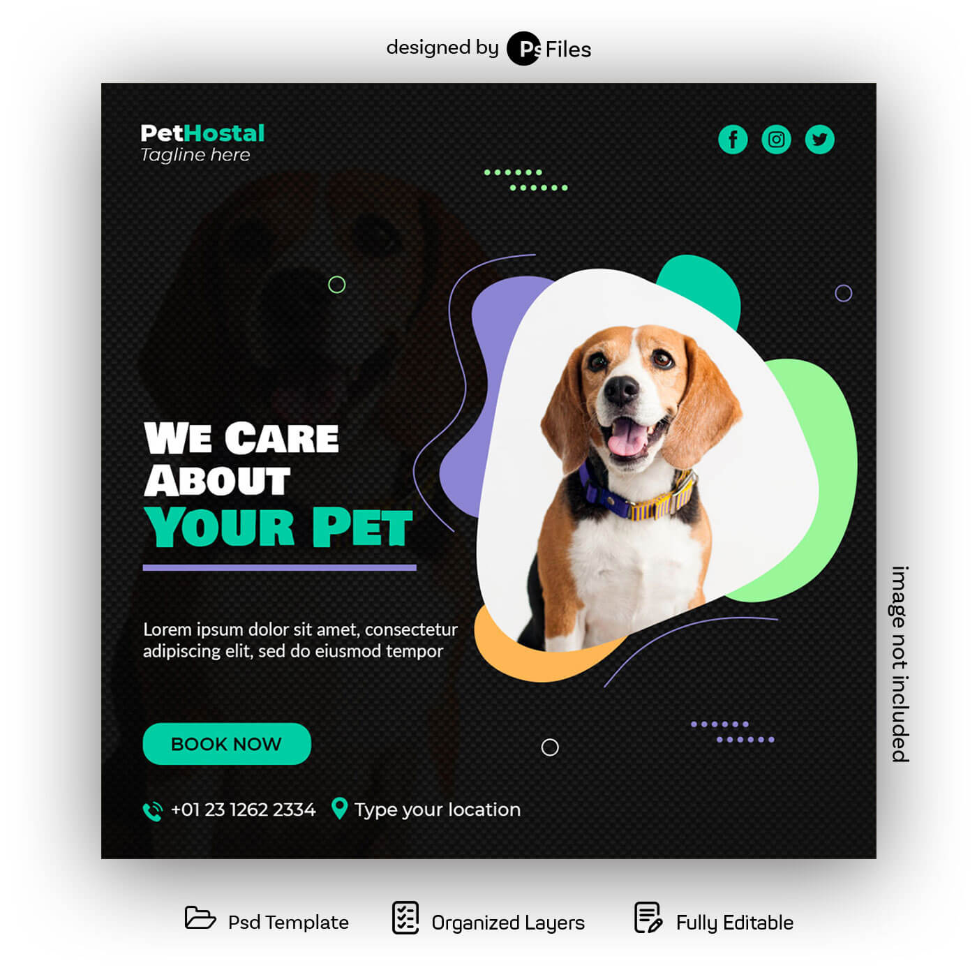 Psfiles_Free Pets Care Social Media Post Design Template PSD 10