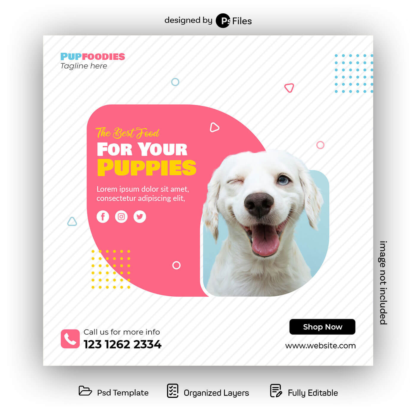 Pets Food Free Social Media Post Design Template PSD