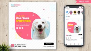 Pets Food Free Social Media Post Design Template PSD