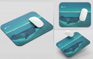 3 Free Rounded Rectangle Mousepad Mockup PSD Files