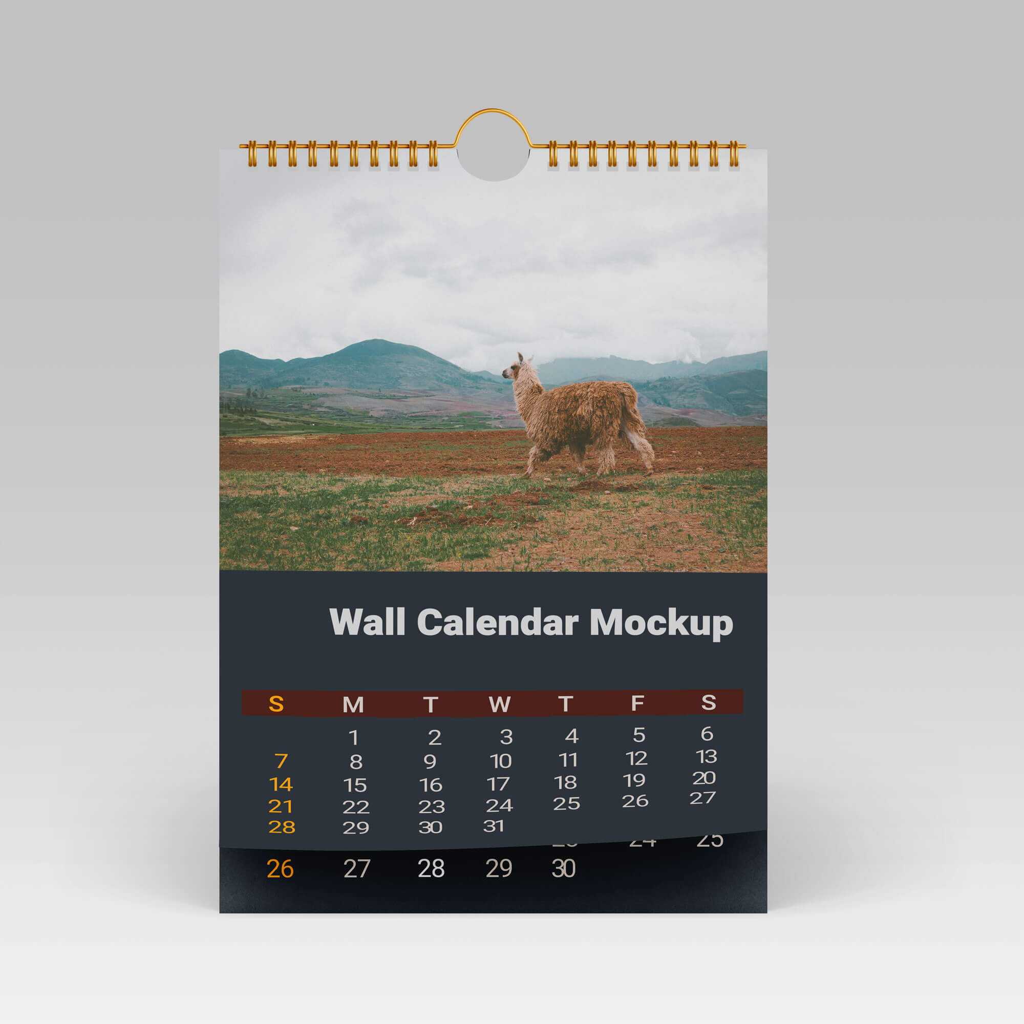 Free 2024 Wall Calendar Mockup PSD Set