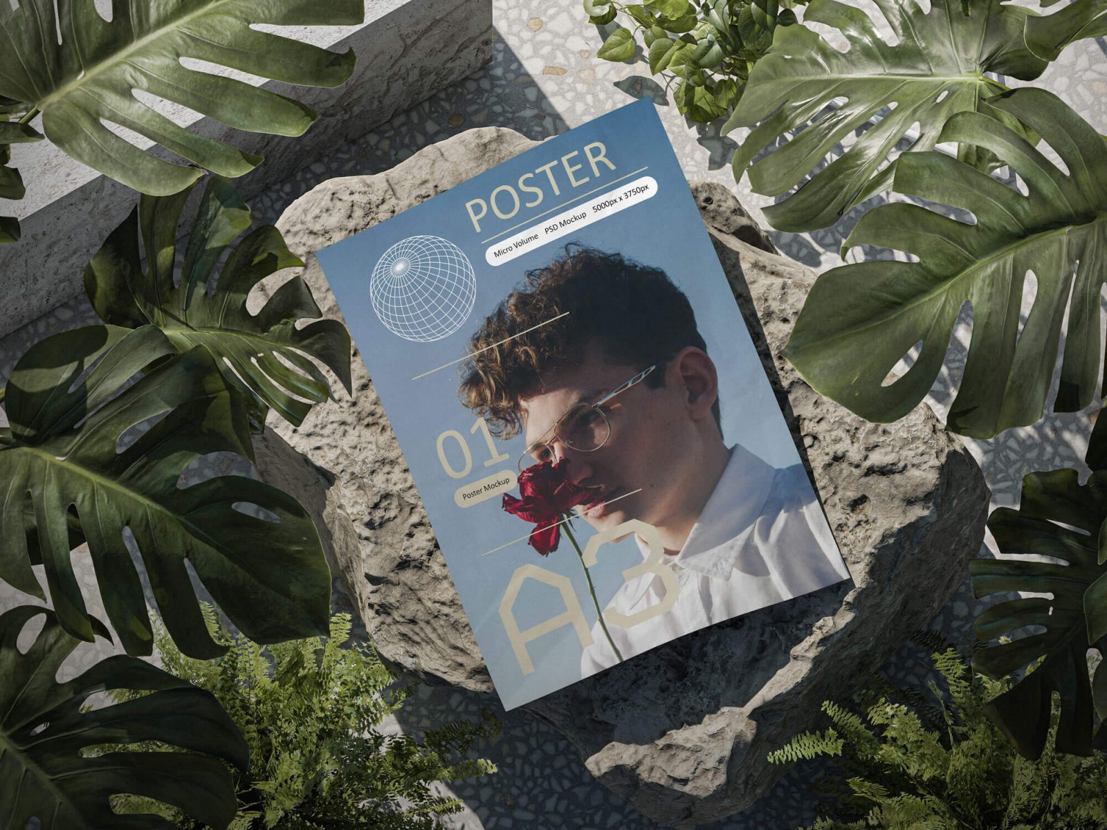 A3 Poster 01 PSD Mockup