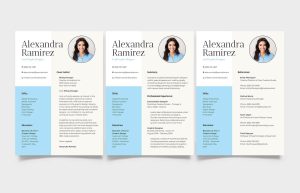 Free Bright Professional CV PSD Template