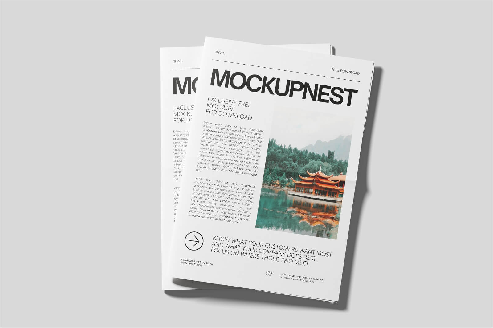 Newspaper Mockup On White Background