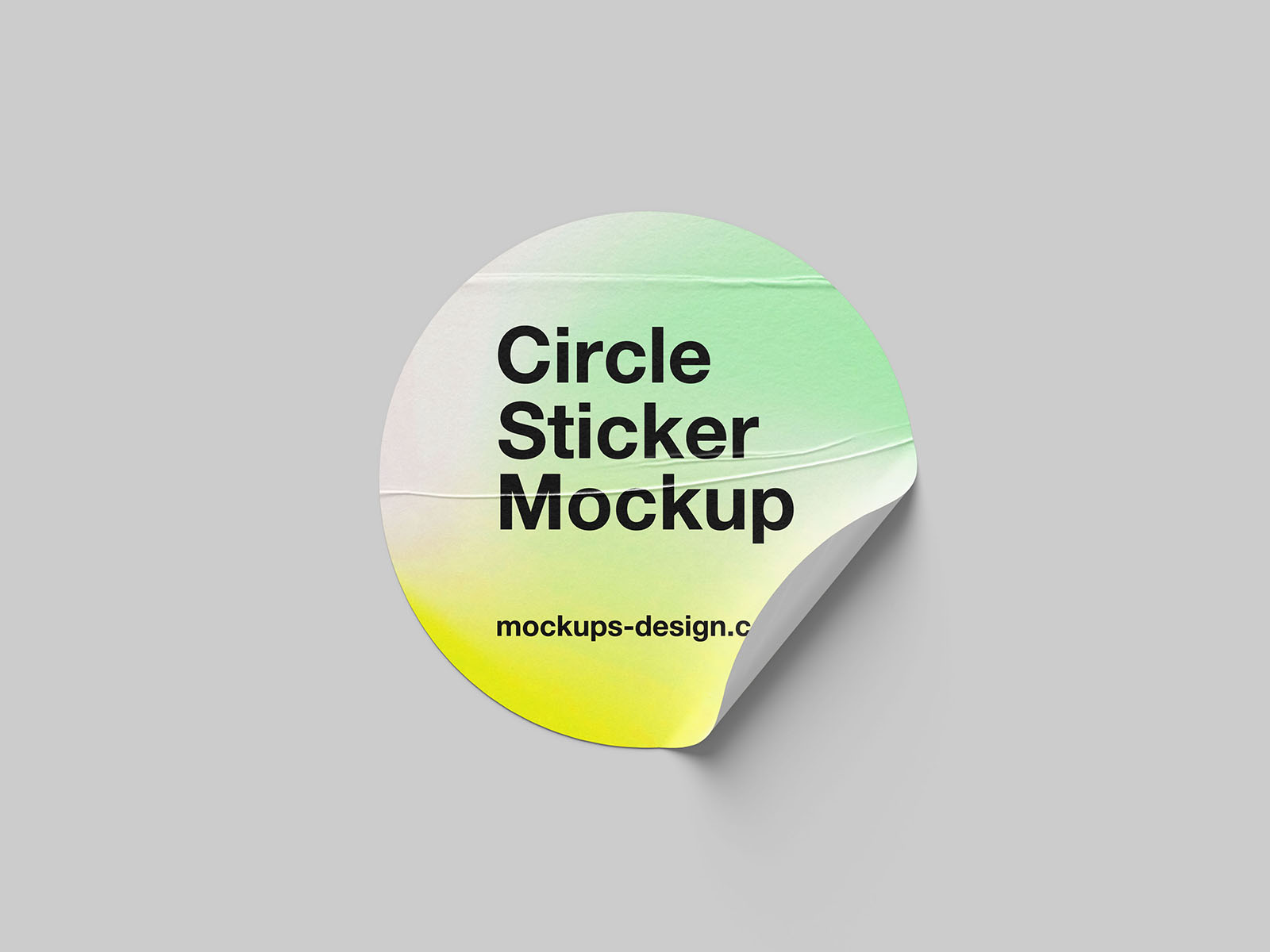 5 Free Round Sticker Mockup PSD Set