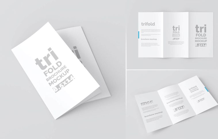 Free Legal Paper Tri-Fold Brochure Mockup PSD Set