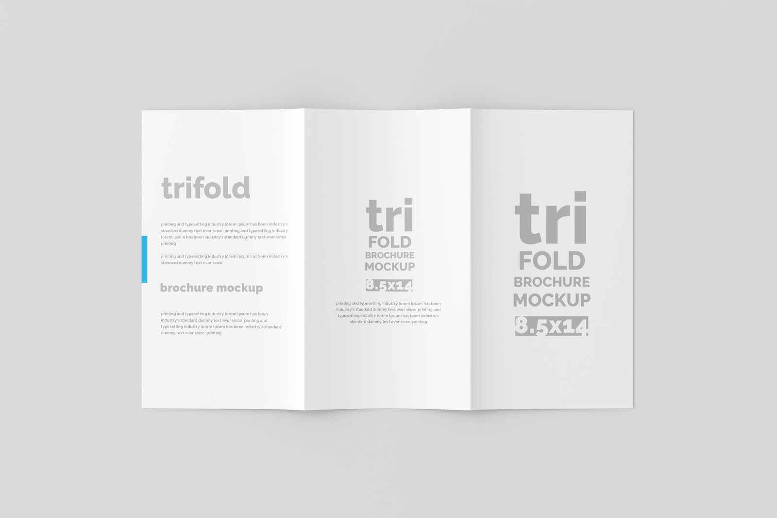 Free Legal Paper Tri-Fold Brochure Mockup PSD Set