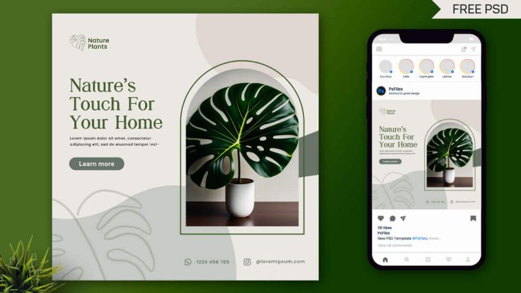 Free Indoor Plants Sale Social Media Post Design PSD Template – Download Now!