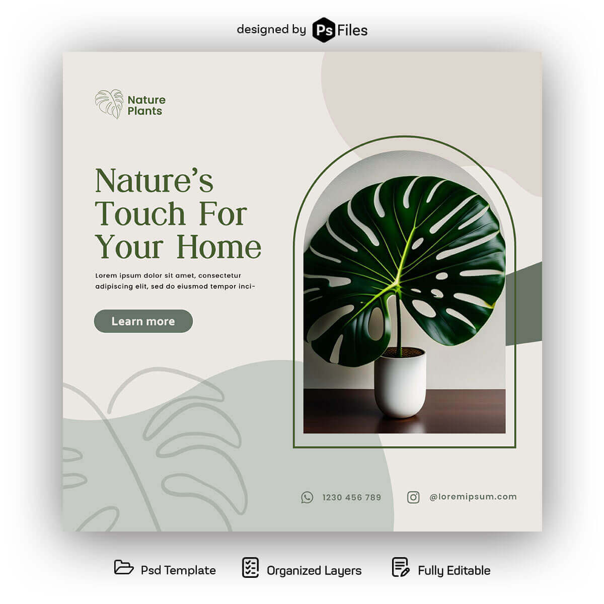 Free Indoor Plants Sale Social Media Post Design PSD Template – Download Now!