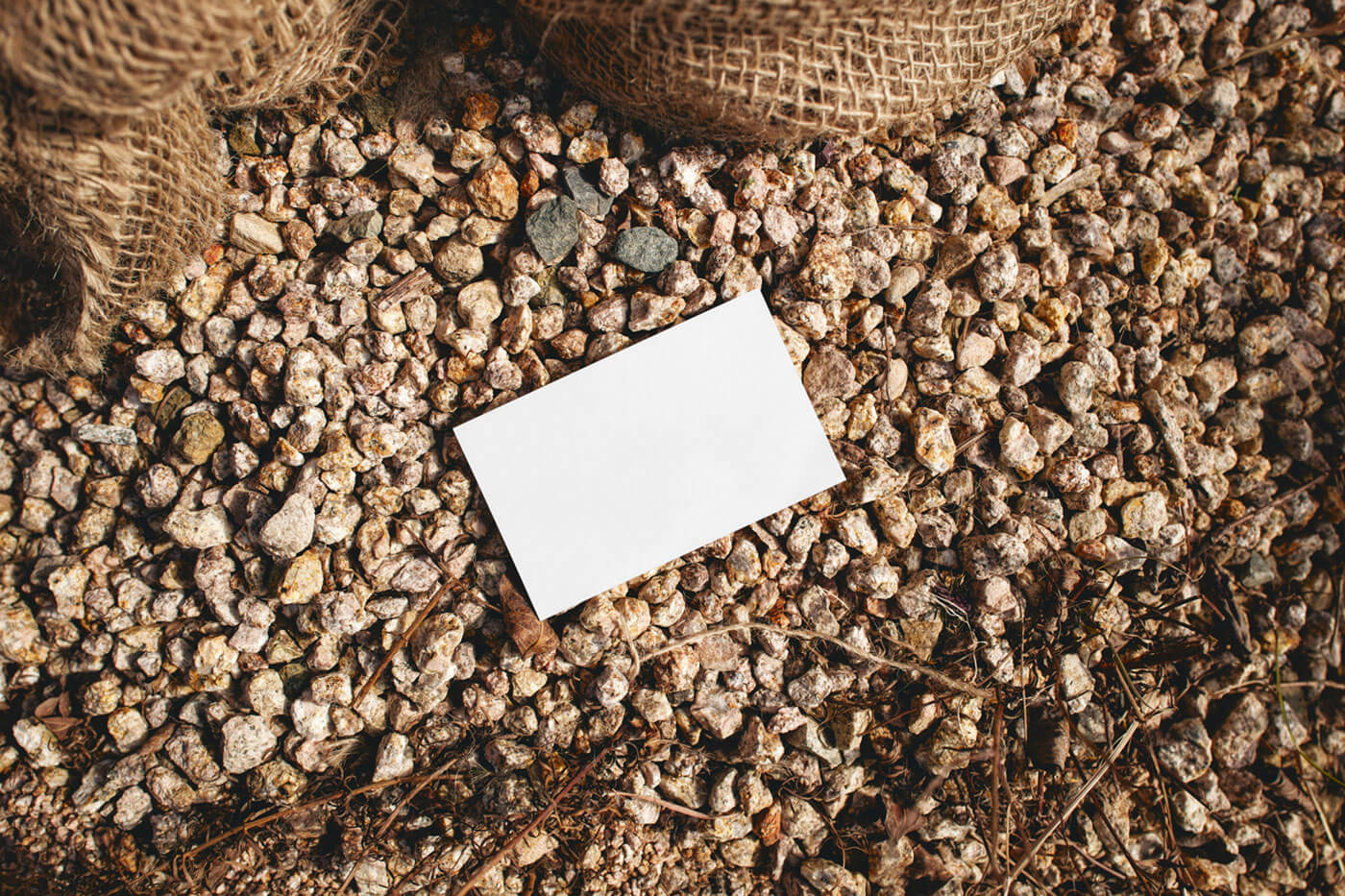 Free Business Card Laying on Stones Mockup