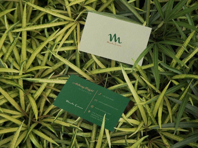 Free Business Card Mockup On Leaves PSD