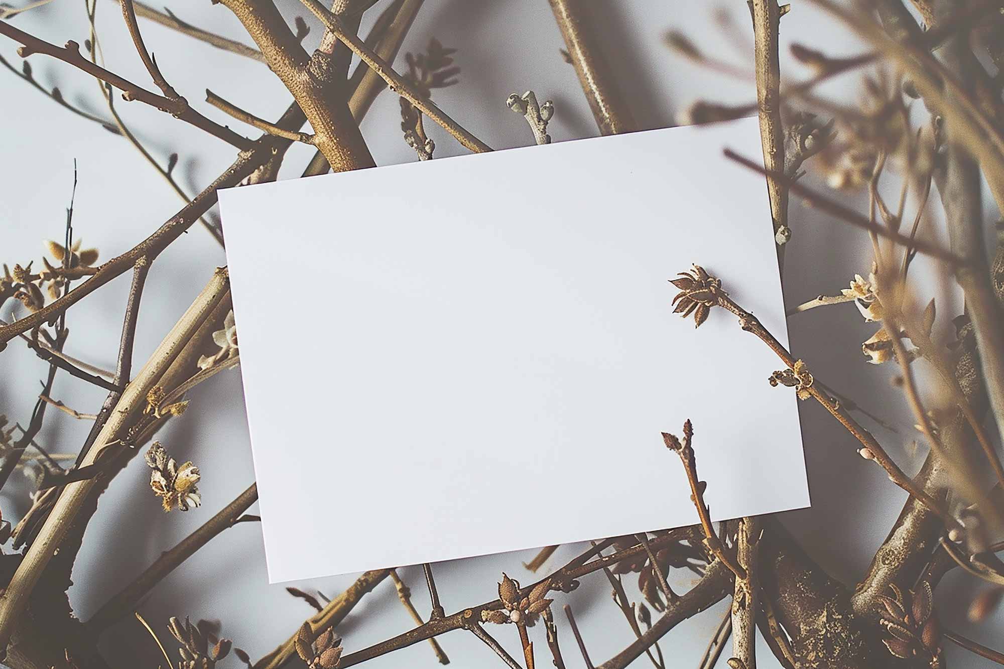 Free Wedding Invitation Card Mockups PSD