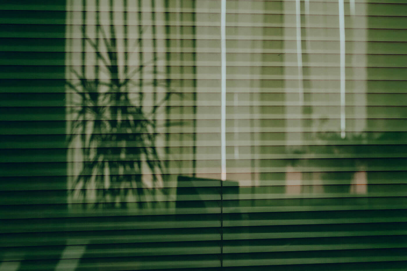 Free Window with Blinds Mockup PSD