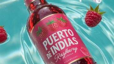 Puerto de Indias raspberry beverage bottle floating in turquoise pool water with raspberries, ice cubes, and bright summer reflections.